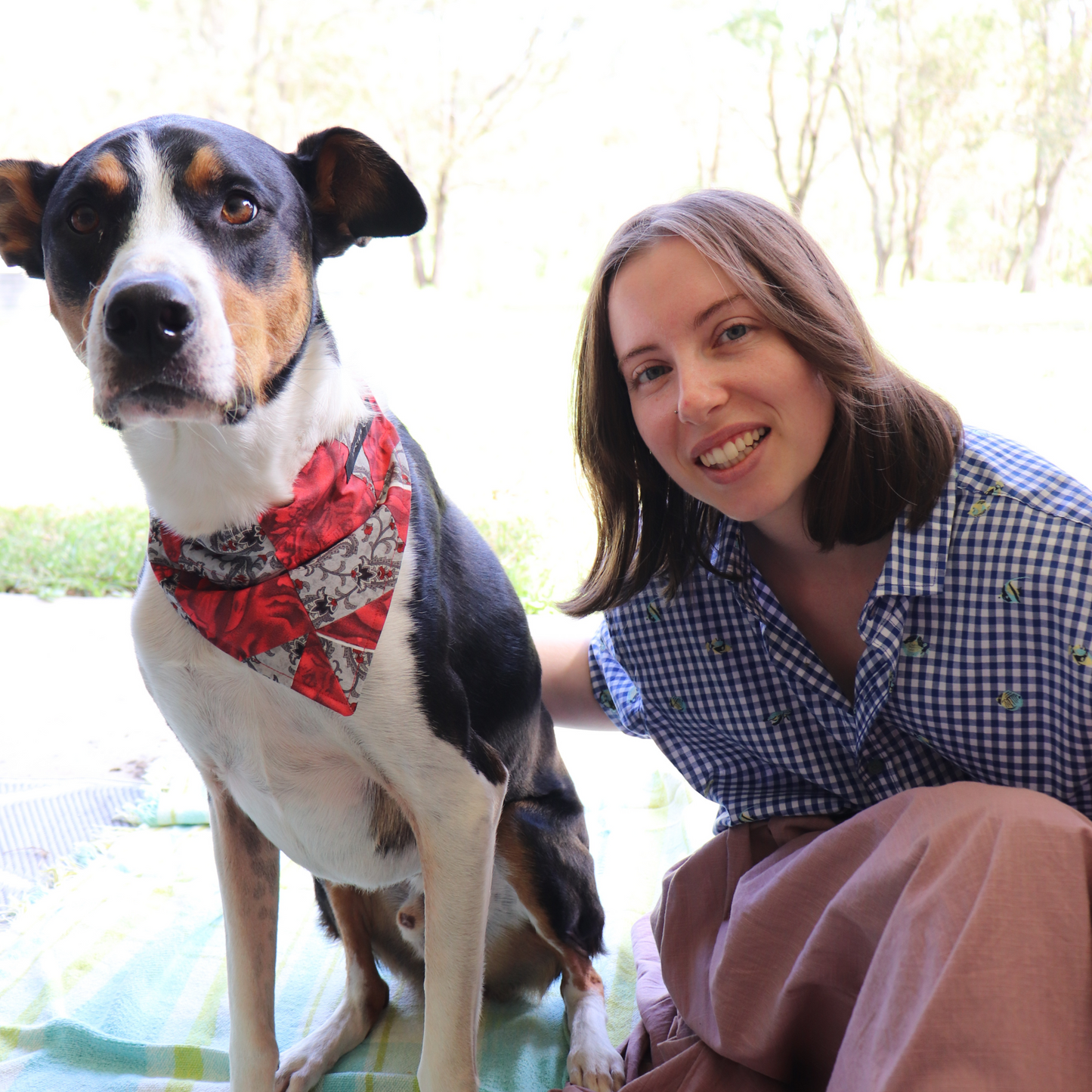 Dracula Patchwork Dog/Cat Bandana