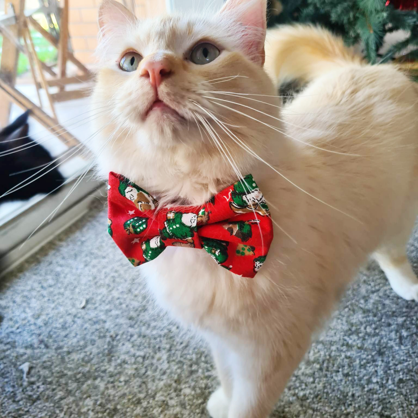 A Dash of Floral Navy Dog/Cat Bowtie