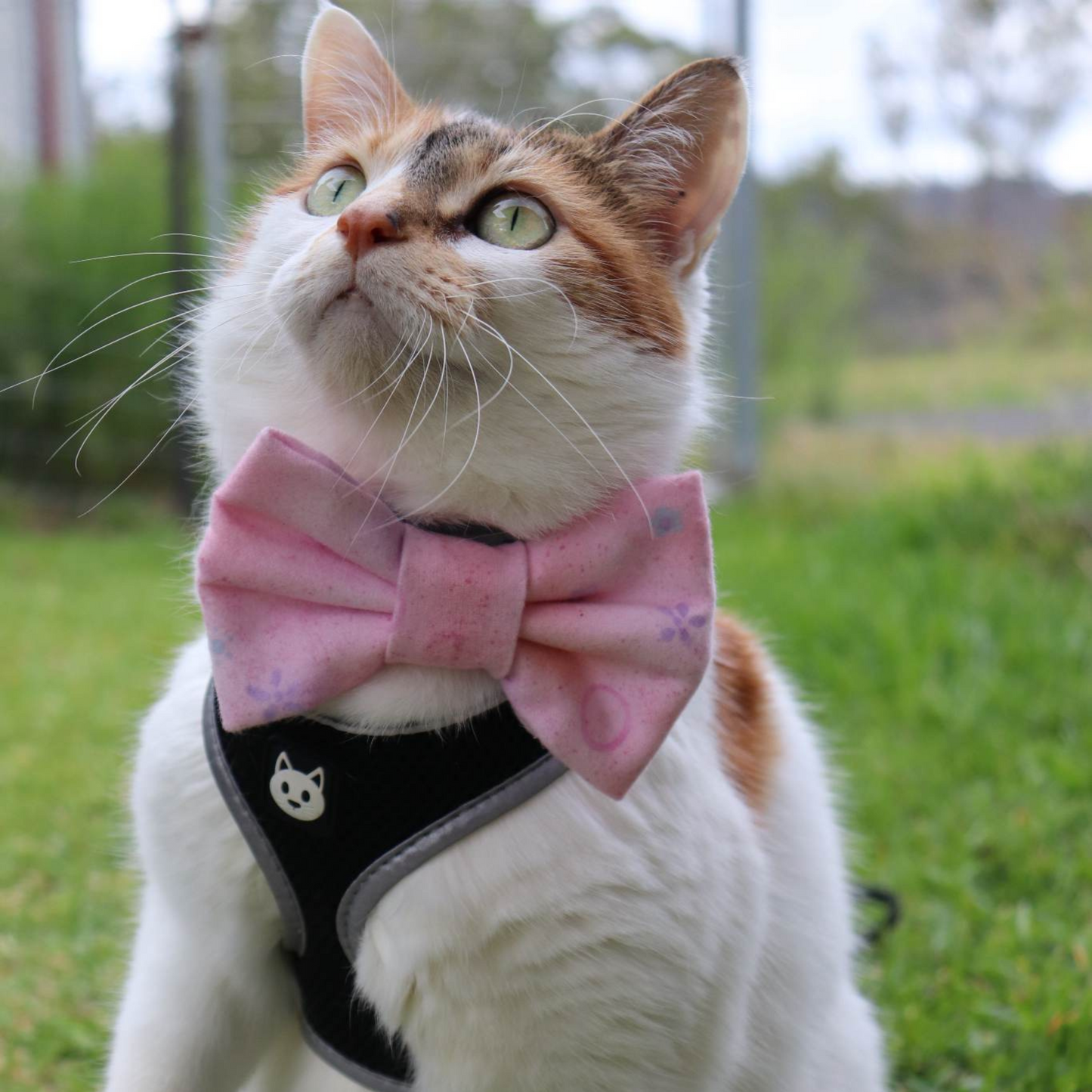 Ocean Breeze Satin Dog/Cat Bowtie