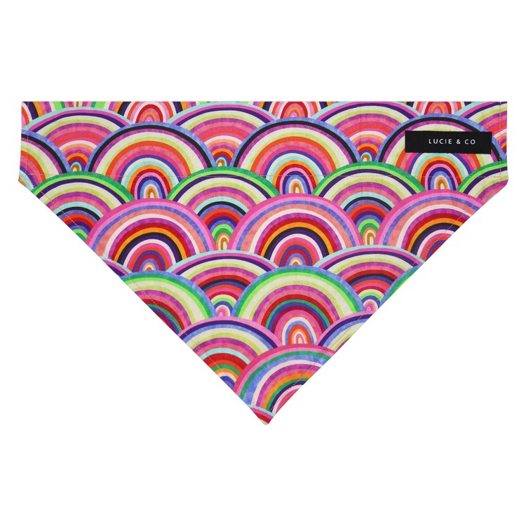 Rainbow Delight Dog/Cat Bandana
