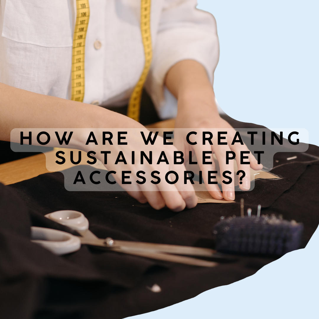 How are we creating sustainable pet accessories?