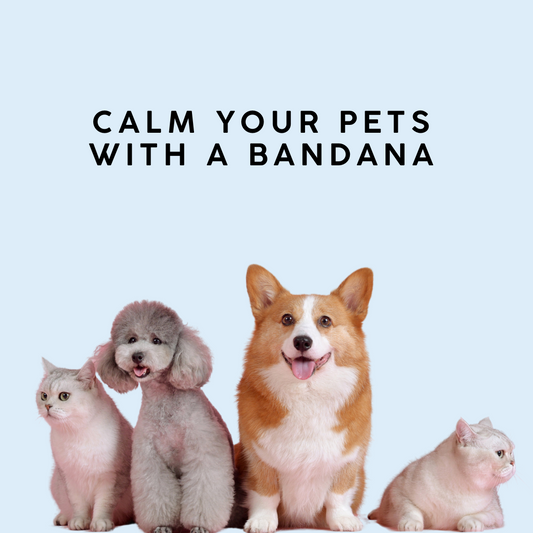 How to calm your dog or cat using a bandana