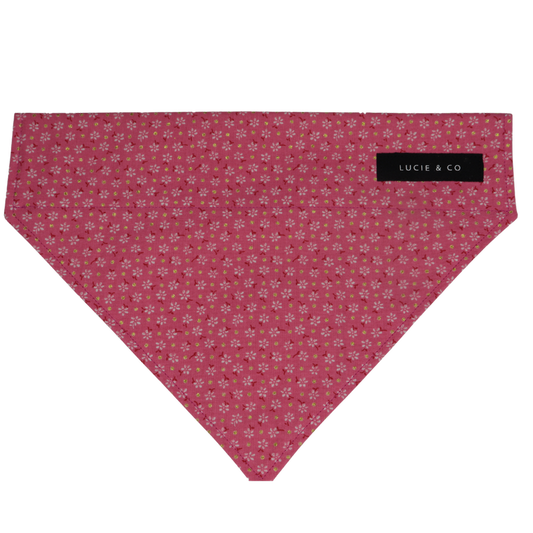 Pink Golden Petal Bloom Collection Dog/Cat Bandana