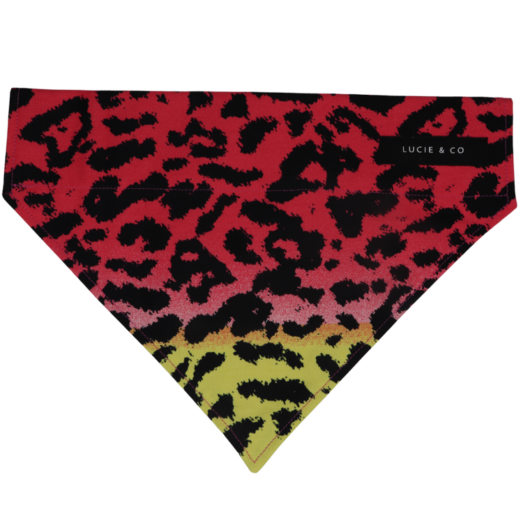 Sunset Safari Dog/Cat Bandana