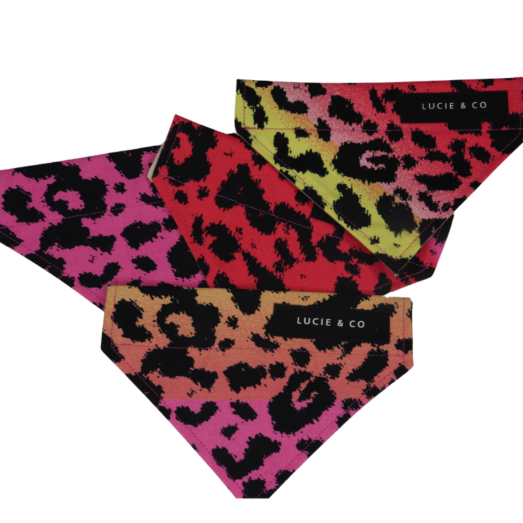 Sunset Safari Dog/Cat Bandana