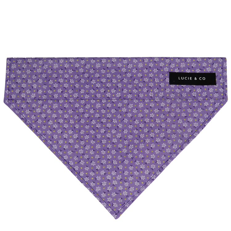 Purple Golden Petal Bloom Collection Dog/Cat Bandana