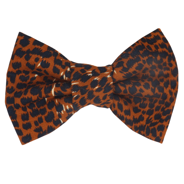 Safari Chic Dog/Cat Bowtie