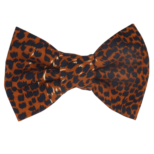 Safari Chic Dog/Cat Bowtie