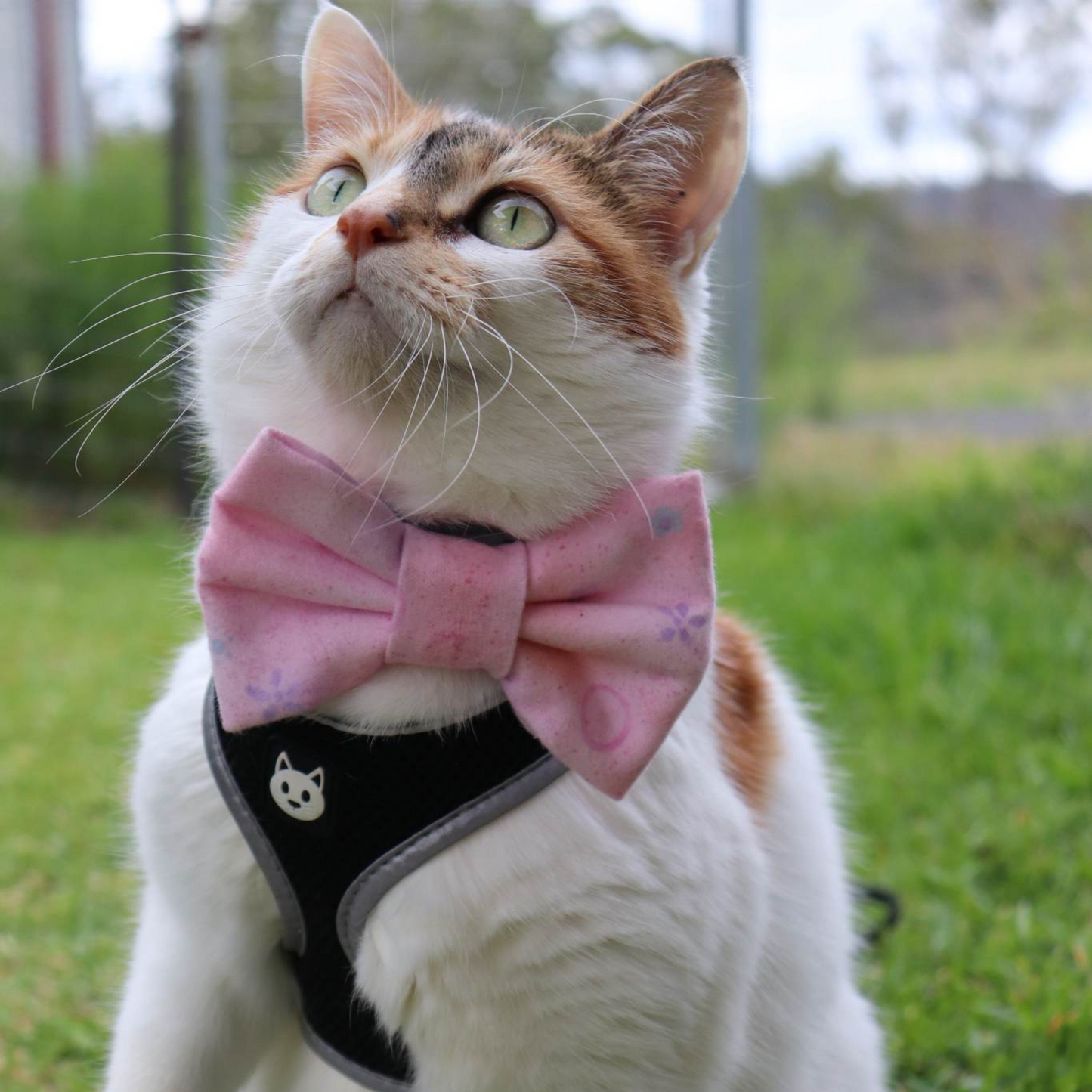 Blush Gingham Charm Dog/Cat Bowtie