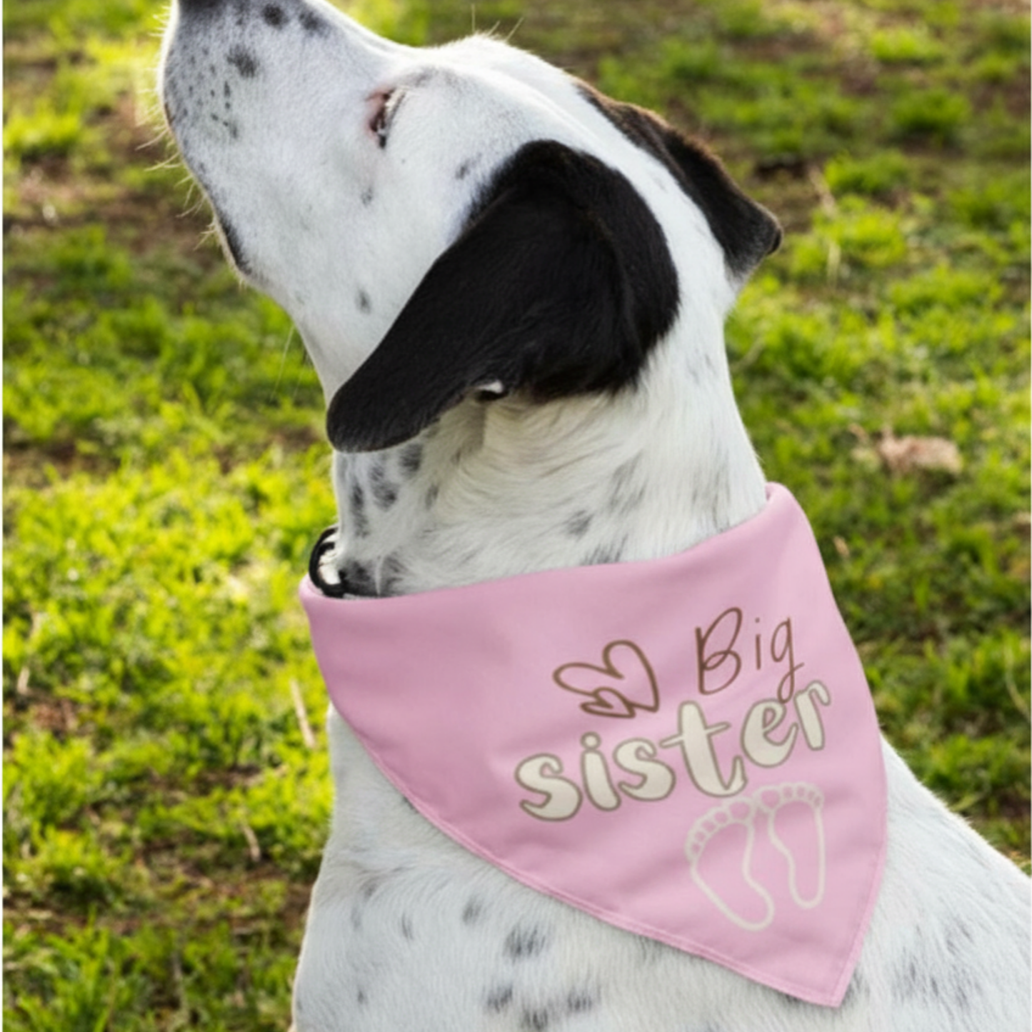 Gender Reveal Dog/Cat Bandana Pink