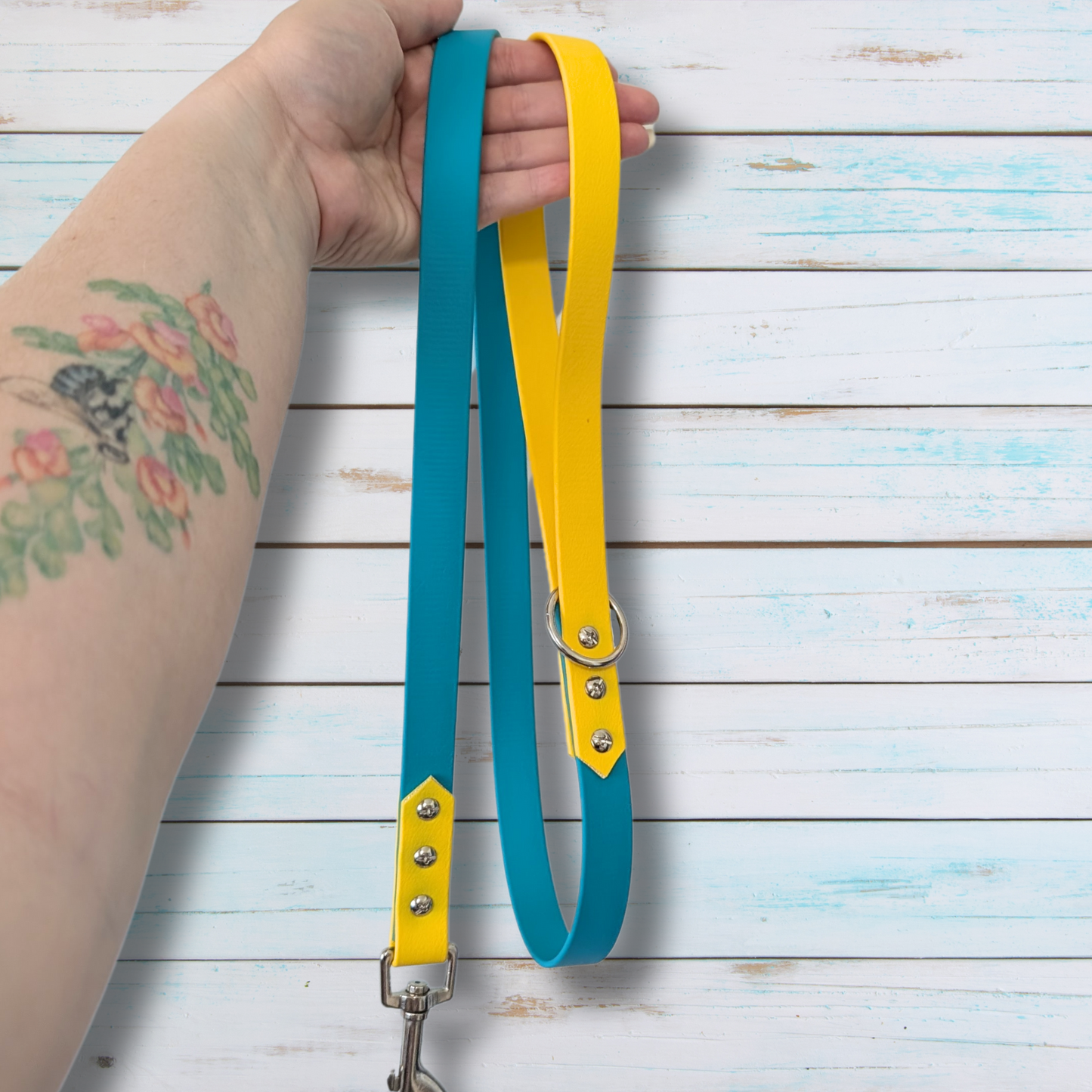 Biothane Dog/Cat Leash 1.2m Dual Colour