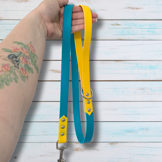 Dual Colour Biothane Dog & Cat Leashes - 35 Colors Available