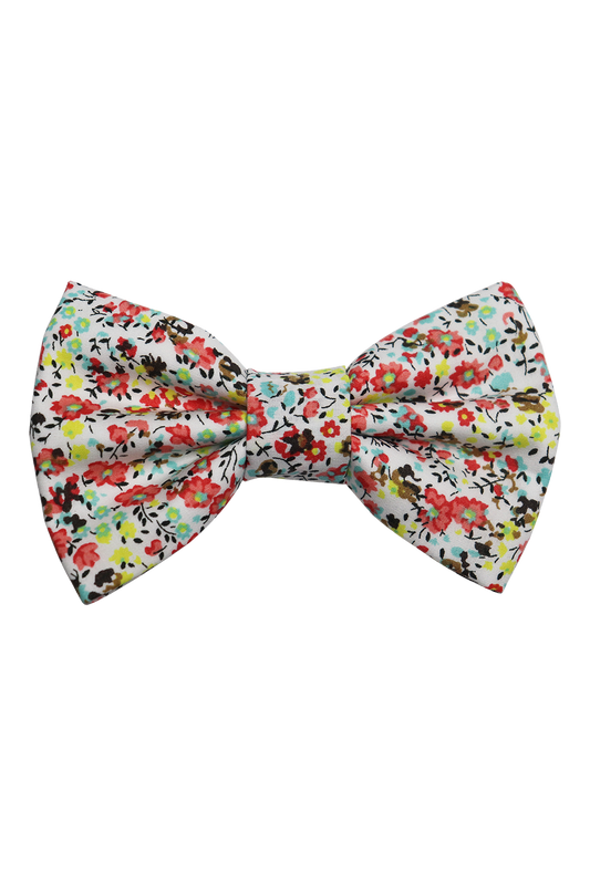 Bright Floral Dog/Cat Bowtie