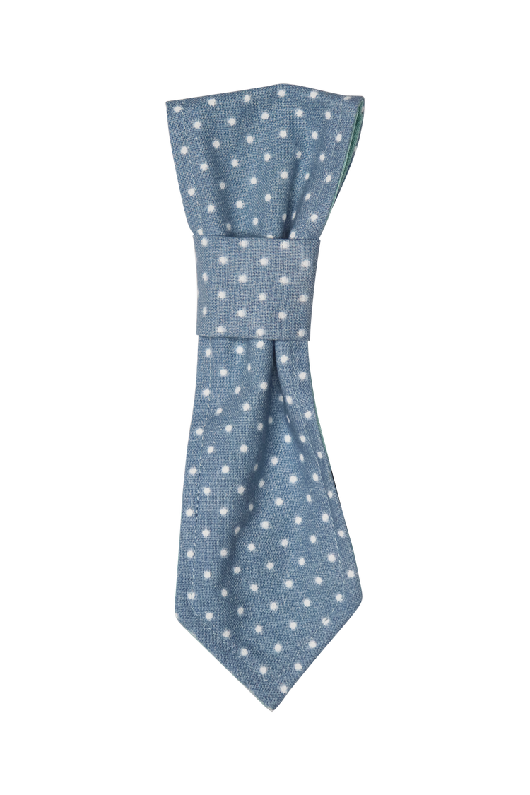 Blue Polkadot Reversible Dog Necktie