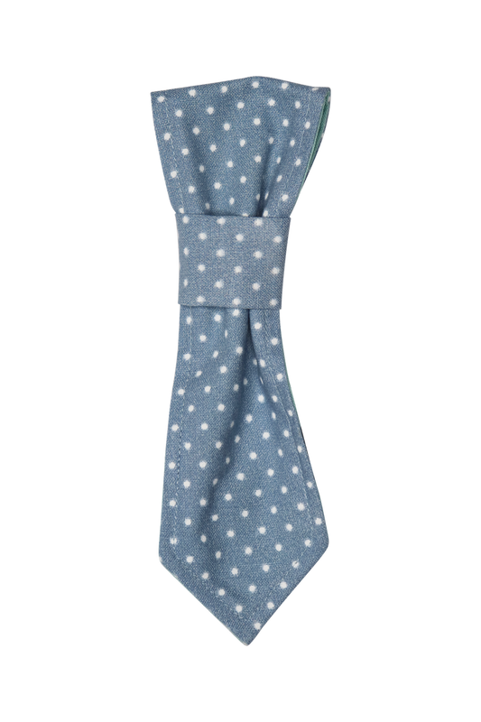 Blue Polkadot Reversible Dog Necktie