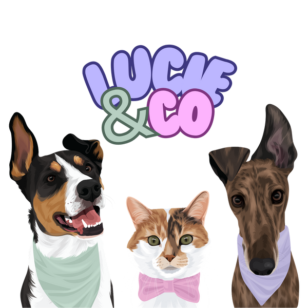 Lucie & Co